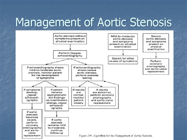 Management of Aortic Stenosis 