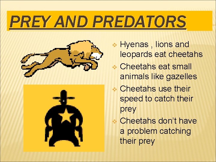 PREY AND PREDATORS v v Hyenas , lions and leopards eat cheetahs Cheetahs eat