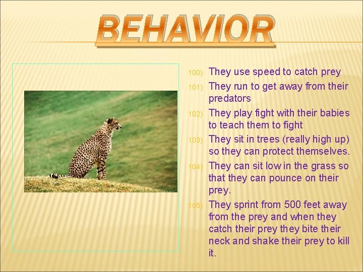 BEHAVIOR 100) 101) 102) 103) 104) 105) They use speed to catch prey They