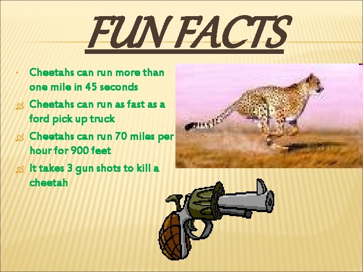 FUN FACTS • Cheetahs can run more than one mile in 45 seconds Cheetahs