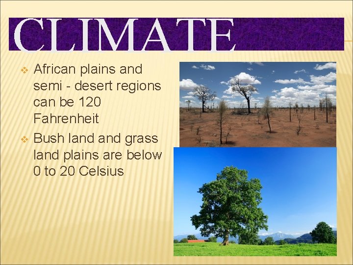 CLIMATE v v African plains and semi - desert regions can be 120 Fahrenheit