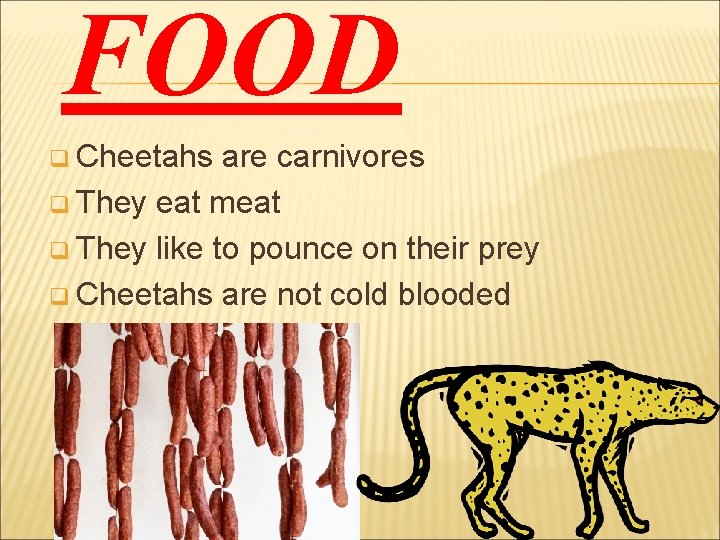 FOOD q Cheetahs are carnivores q They eat meat q They like to pounce