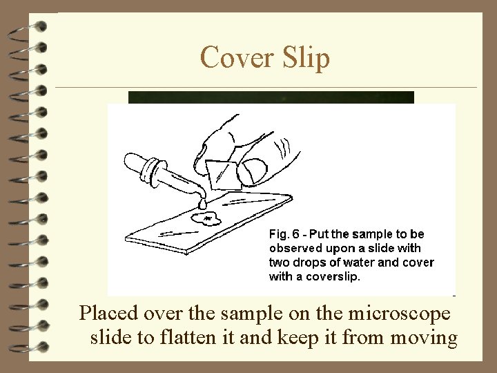 Cover Slip Placed over the sample on the microscope slide to flatten it and