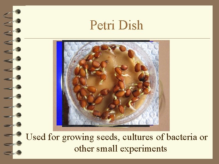 Petri Dish Used for growing seeds, cultures of bacteria or other small experiments 
