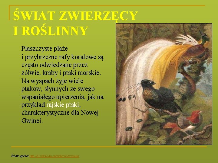 ŚWIAT ZWIERZĘCY I ROŚLINNY Piaszczyste plaże i przybrzeżne rafy koralowe są często odwiedzane przez