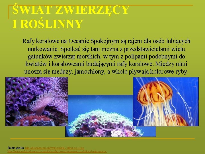 ŚWIAT ZWIERZĘCY I ROŚLINNY Rafy koralowe na Oceanie Spokojnym są rajem dla osób lubiących