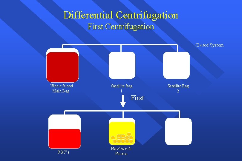 Differential Centrifugation First Centrifugation Closed System Whole Blood Main Bag Satellite Bag 1 First