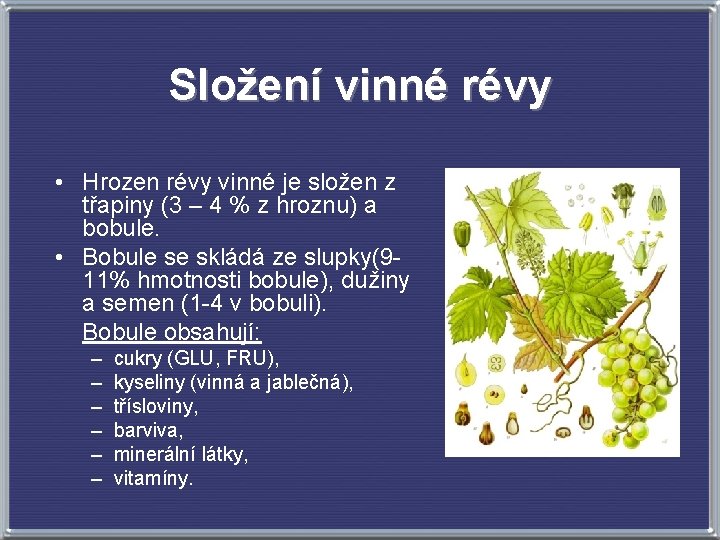 Složení vinné révy • Hrozen révy vinné je složen z třapiny (3 – 4