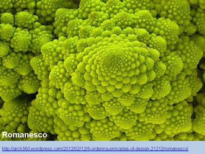 Romanesco http: //arch 360. wordpress. com/2012/02/12/6 -ordering-principles-of-design-21212/romanesco/ 