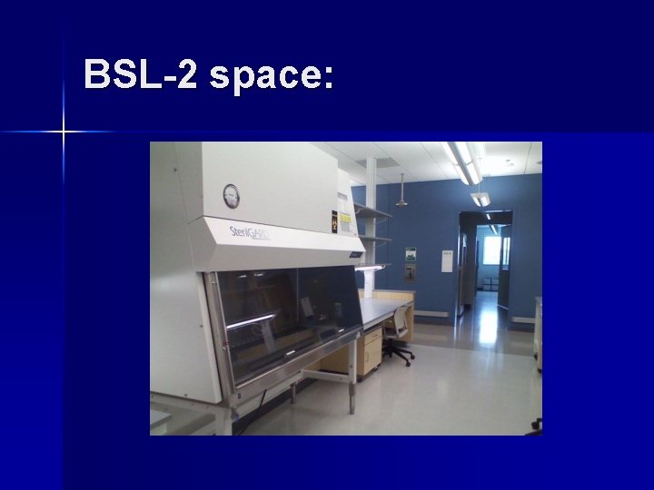 BSL-2 space: 