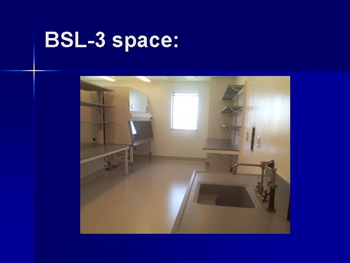 BSL-3 space: 