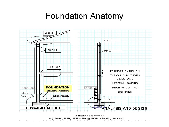 Foundation Anatomy Foundation Anatomy
