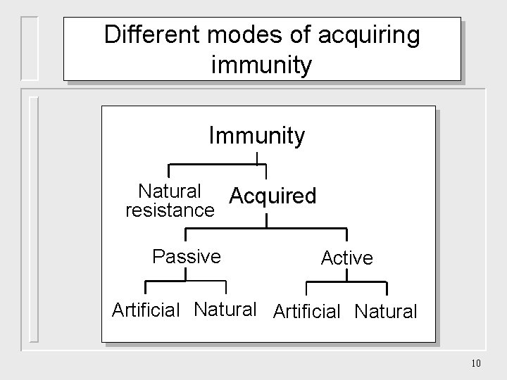 Different modes of acquiring immunity Immunity Natural Acquired resistance Passive Active Artificial Natural 10