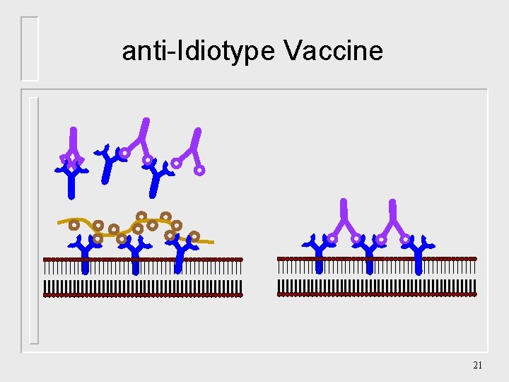 anti-Idiotype Vaccine 21 
