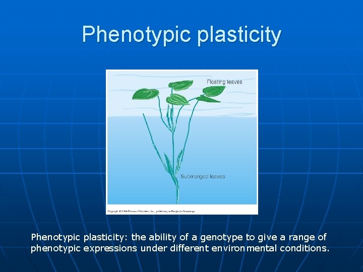Phenotypic plasticity: the ability of a genotype to give a range of phenotypic expressions