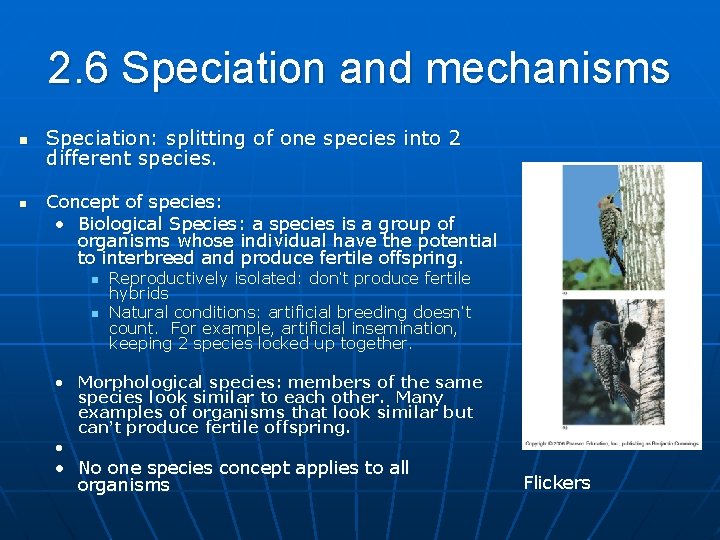 2. 6 Speciation and mechanisms n n Speciation: splitting of one species into 2