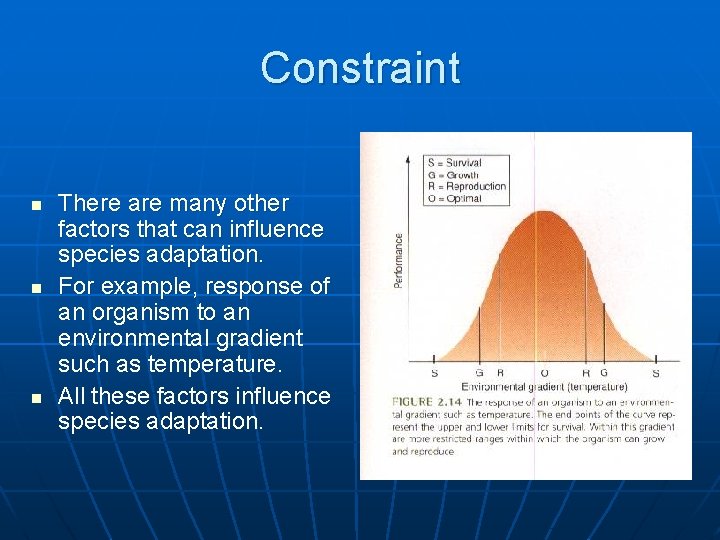 Constraint n n n There are many other factors that can influence species adaptation.