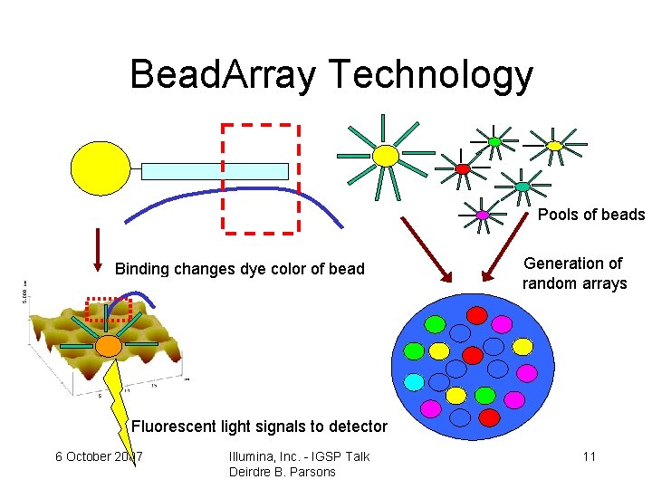 Bead. Array Technology Pools of beads Binding changes dye color of bead Generation of