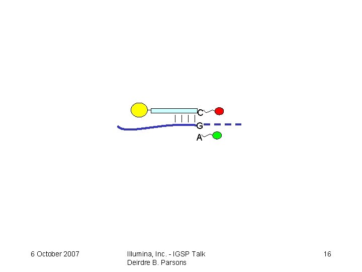 C G A 6 October 2007 Illumina, Inc. - IGSP Talk Deirdre B. Parsons