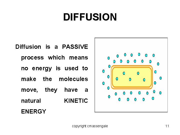 DIFFUSION Diffusion is a PASSIVE process which means no energy is used to make