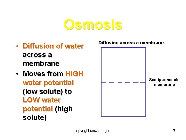 Osmosis • Diffusion of water across a membrane • Moves from HIGH water potential