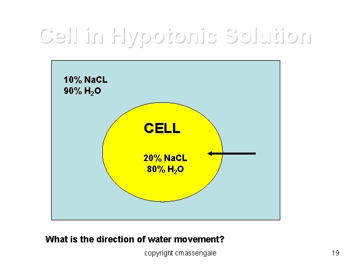 Cell in Hypotonic Solution 10% Na. CL 90% H 2 O CELL 20% Na.