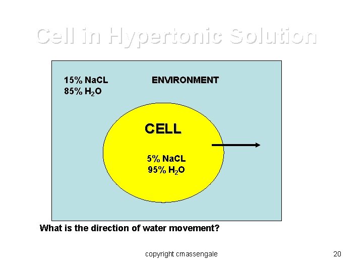Cell in Hypertonic Solution 15% Na. CL 85% H 2 O ENVIRONMENT CELL 5%