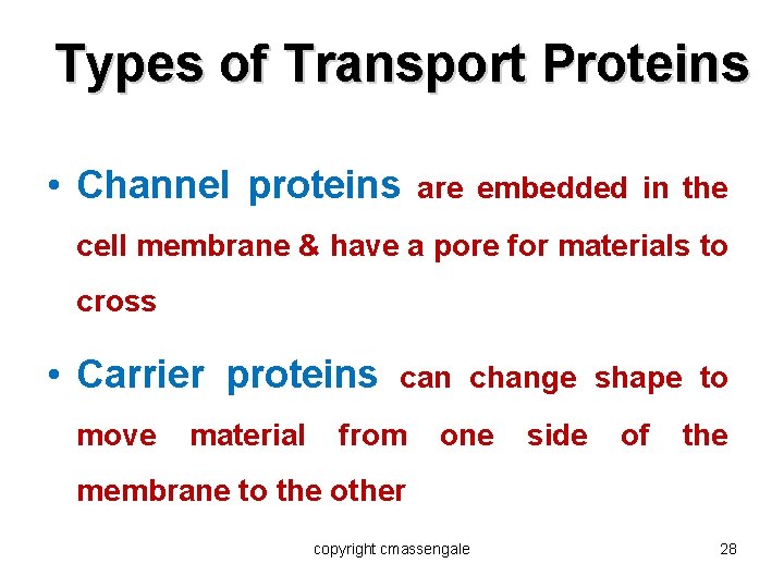 Types of Transport Proteins • Channel proteins are embedded in the cell membrane &