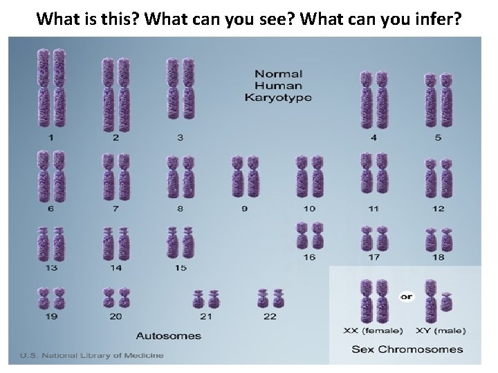 What is this? What can you see? What can you infer? 