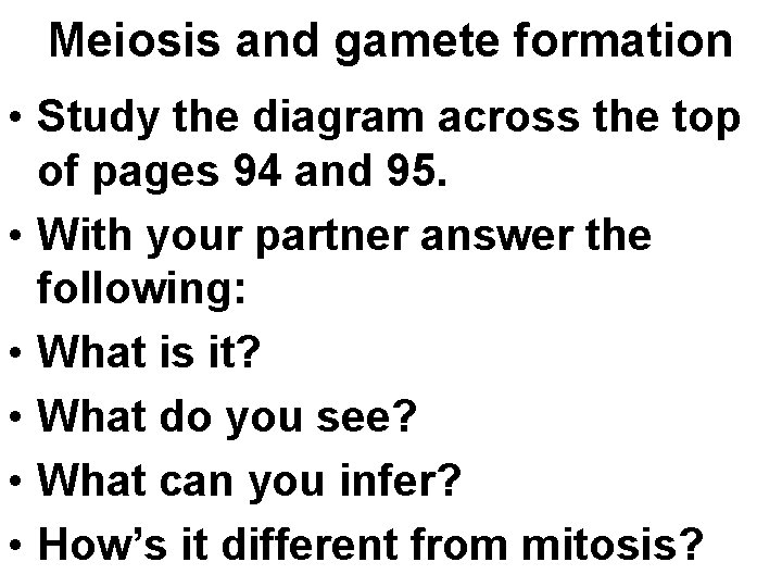 Meiosis and gamete formation • Study the diagram across the top of pages 94