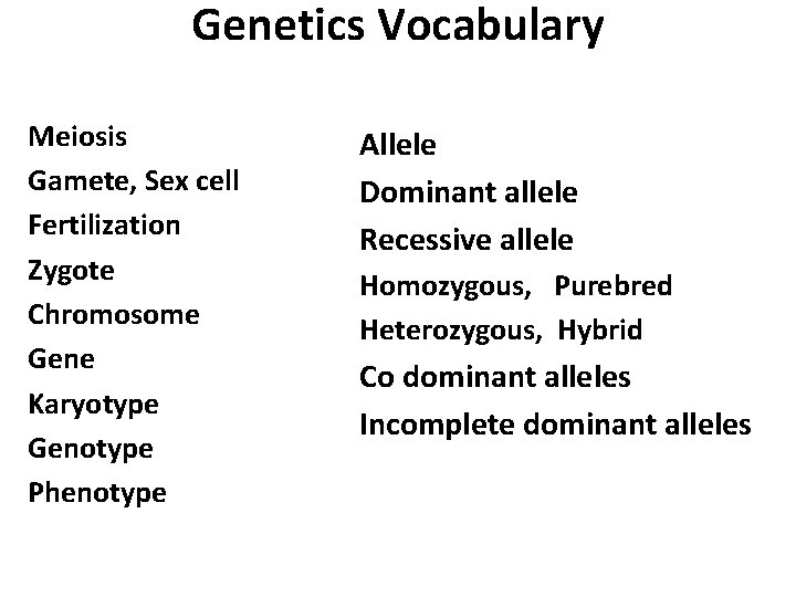 Genetics Vocabulary Meiosis Gamete, Sex cell Fertilization Zygote Chromosome Gene Karyotype Genotype Phenotype Allele