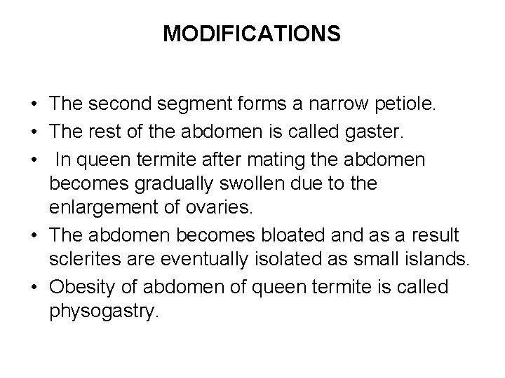 MODIFICATIONS • The second segment forms a narrow petiole. • The rest of the