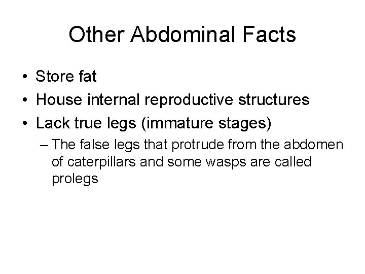 Other Abdominal Facts • Store fat • House internal reproductive structures • Lack true