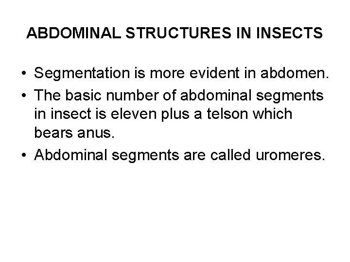 ABDOMINAL STRUCTURES IN INSECTS • Segmentation is more evident in abdomen. • The basic