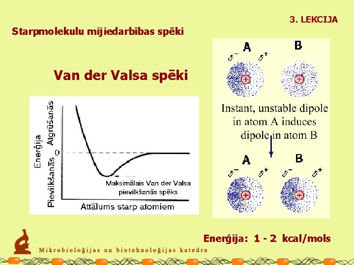 3. LEKCIJA Starpmolekulu mijiedarbības spēki Van der Valsa spēki Enerģija: 1 - 2 kcal/mols