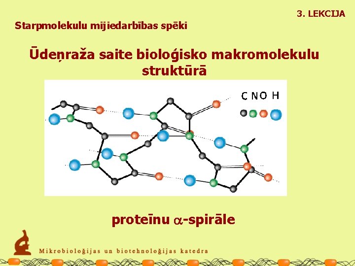 3. LEKCIJA Starpmolekulu mijiedarbības spēki Ūdeņraža saite bioloģisko makromolekulu struktūrā proteīnu a-spirāle 