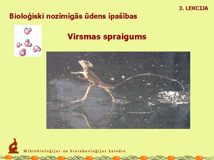 3. LEKCIJA Bioloģiski nozīmīgās ūdens īpašības Virsmas spraigums 