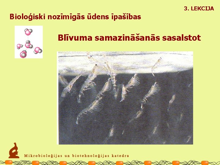 3. LEKCIJA Bioloģiski nozīmīgās ūdens īpašības Blīvuma samazināšanās sasalstot 