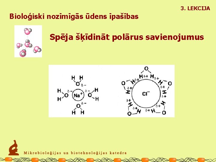 3. LEKCIJA Bioloģiski nozīmīgās ūdens īpašības Spēja šķīdināt polārus savienojumus 