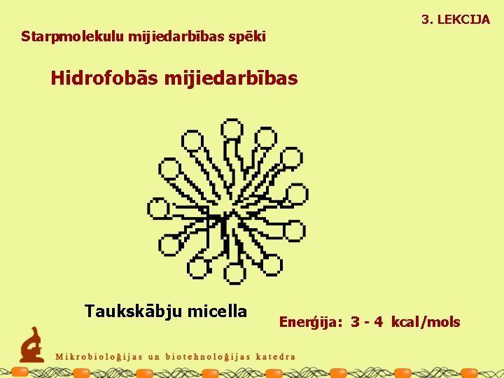 3. LEKCIJA Starpmolekulu mijiedarbības spēki Hidrofobās mijiedarbības Taukskābju micella Enerģija: 3 - 4 kcal/mols