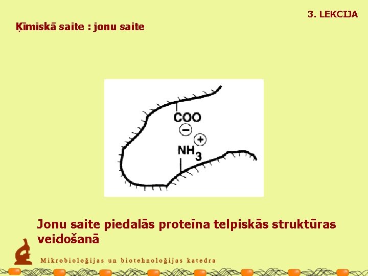 3. LEKCIJA Ķīmiskā saite : jonu saite Jonu saite piedalās proteīna telpiskās struktūras veidošanā