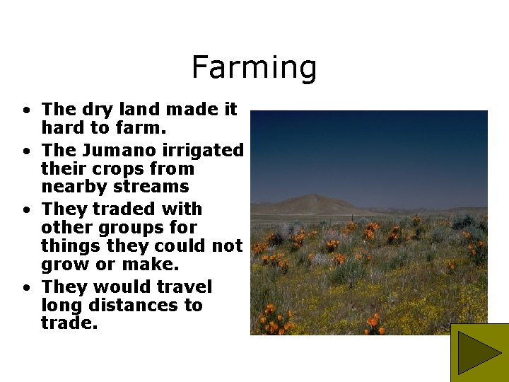 Farming • The dry land made it hard to farm. • The Jumano irrigated