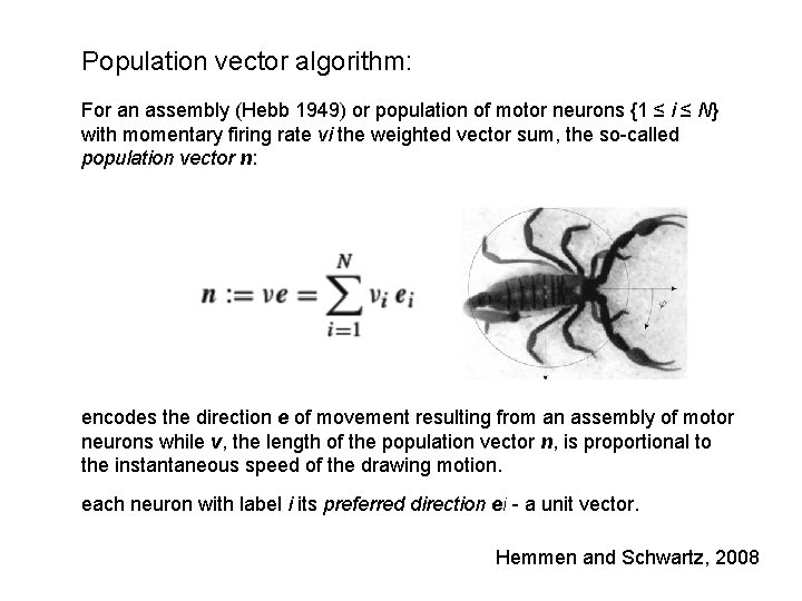 Population vector algorithm: For an assembly (Hebb 1949) or population of motor neurons {1 Population vector algorithm: For an assembly (Hebb 1949) or population of motor neurons {1