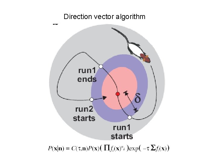 Direction vector algorithm Direction vector algorithm