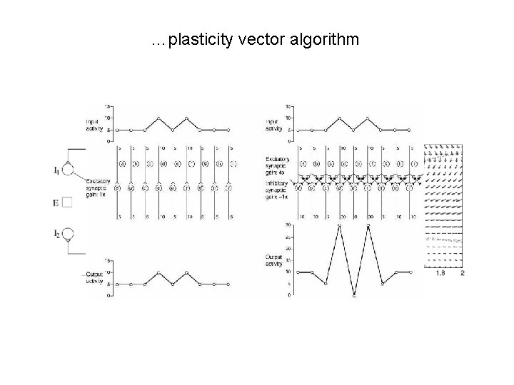 …plasticity vector algorithm …plasticity vector algorithm