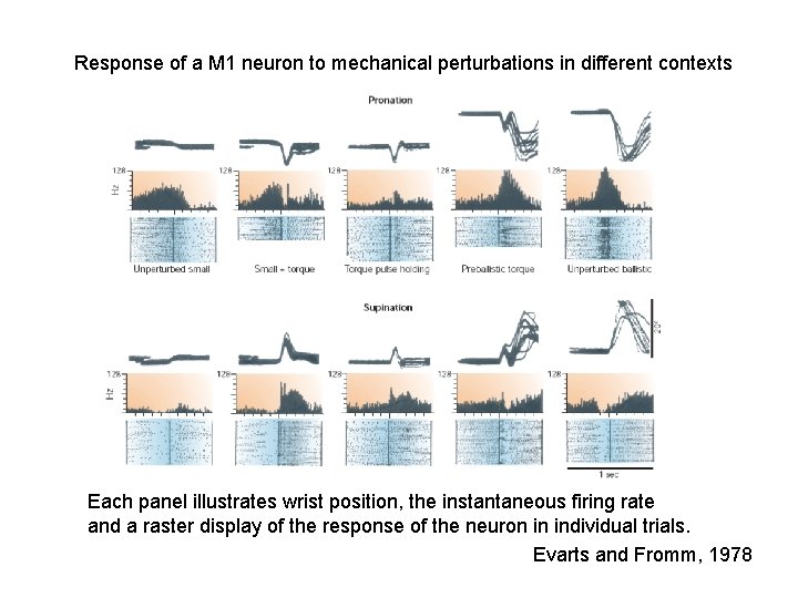 Response of a M 1 neuron to mechanical perturbations in different contexts Each panel Response of a M 1 neuron to mechanical perturbations in different contexts Each panel