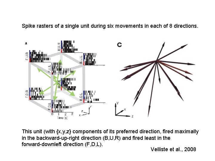 Spike rasters of a single unit during six movements in each of 8 directions. Spike rasters of a single unit during six movements in each of 8 directions.