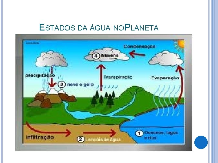 ESTADOS DA ÁGUA NO PLANETA 