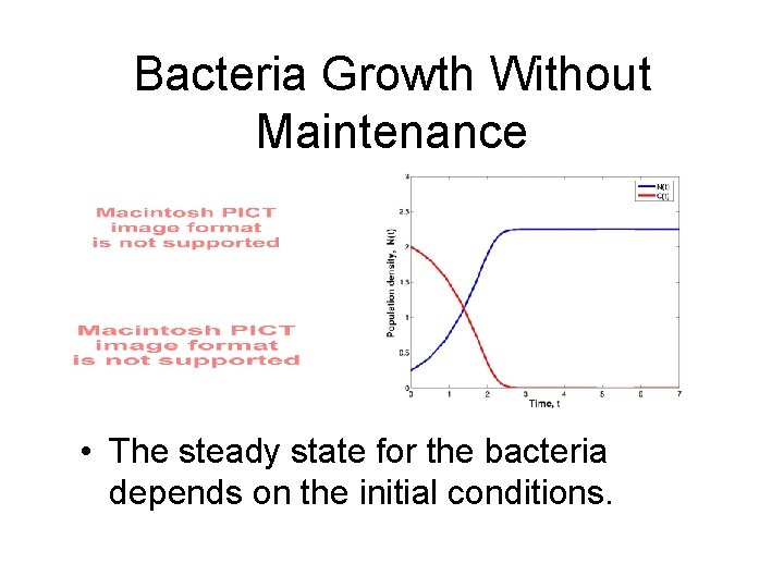 Bacteria Growth Without Maintenance • The steady state for the bacteria depends on the