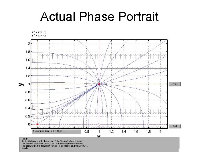 Actual Phase Portrait 